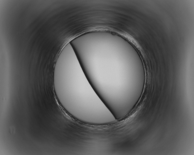 X0000086900953200704160944