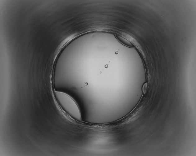 X0000086900954200704160944
