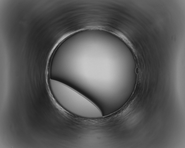 X0000086900955200704160944