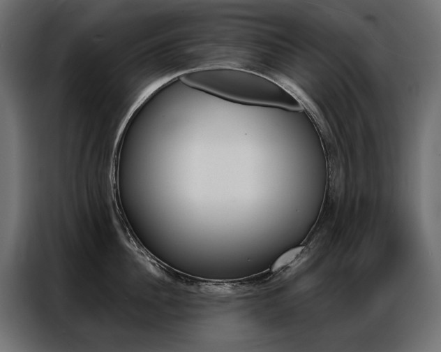 X0000086900956200704160944
