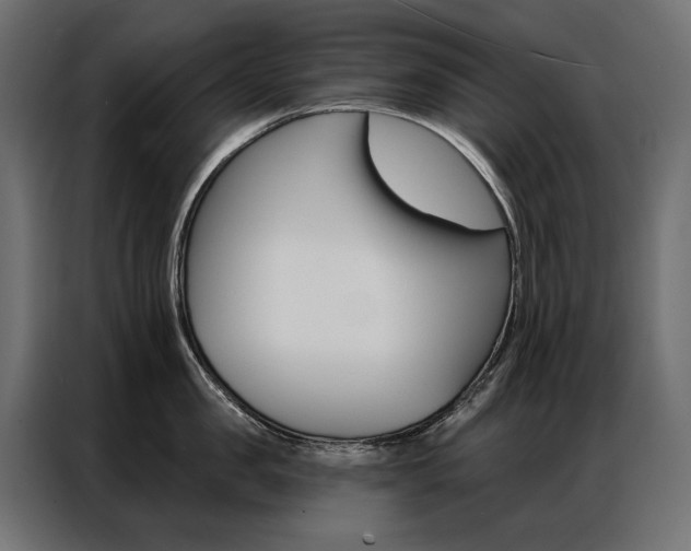 X0000086900957200704160944