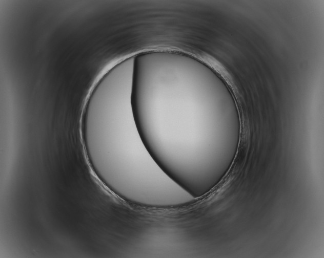 X0000086900958200704160944