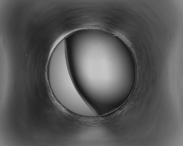 X0000086900960200704160944