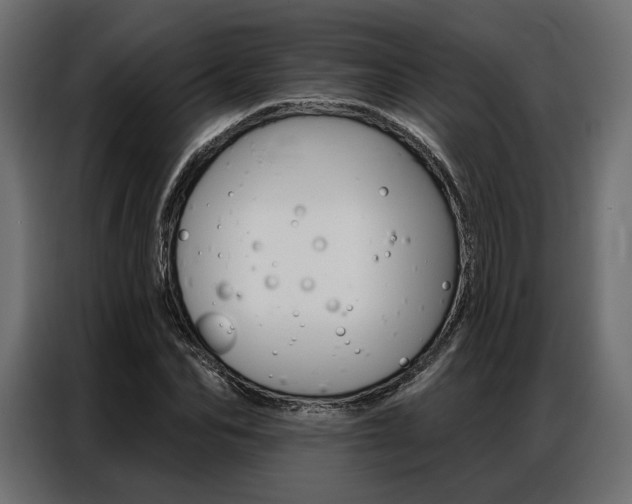 X0000086900974200704160943