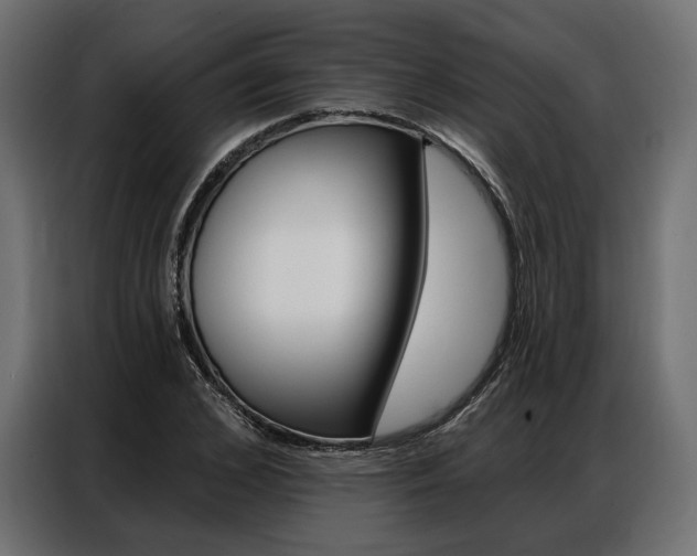 X0000086900976200704160943