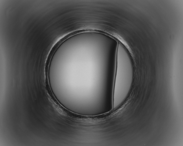 X0000086900980200704160943