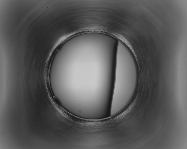 X0000086900989200704160943