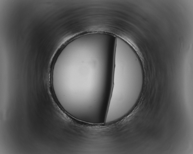 X0000086900992200704160943