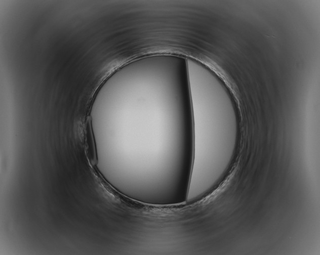 X0000086900993200704160943