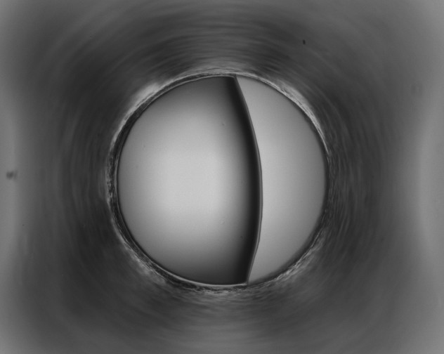 X0000086900997200704160943