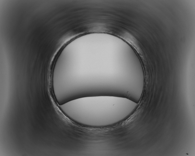 X0000086901000200704160943