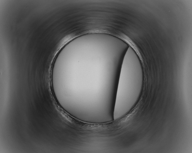 X0000086901002200704160942