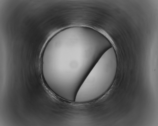 X0000086901004200704160942