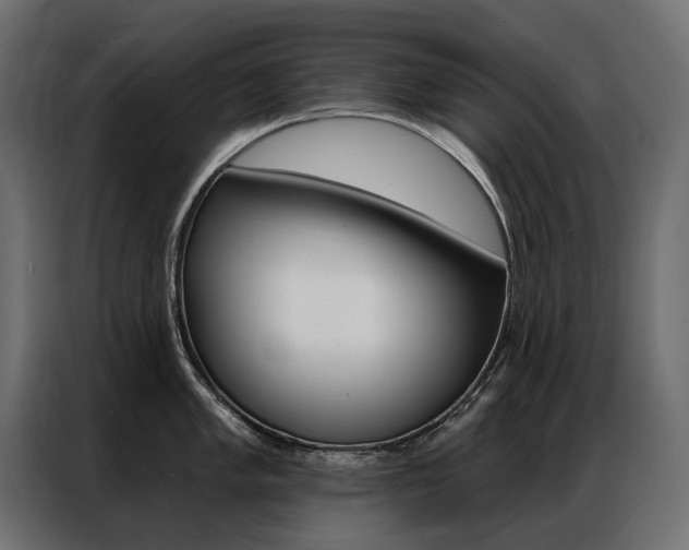 X0000086901005200704160942