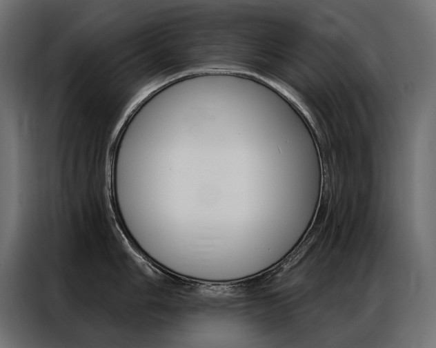 X0000086901006200704160942