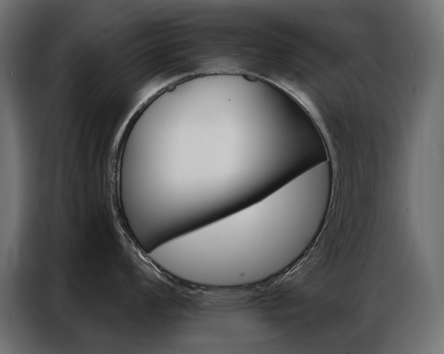 X0000086901008200704160942