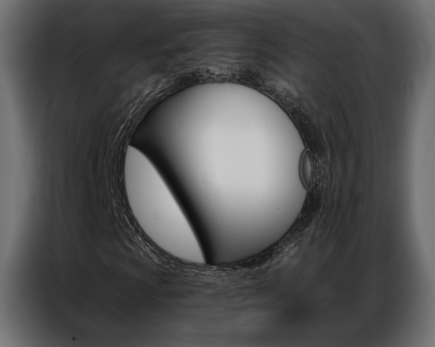 X0000086901009200704160942