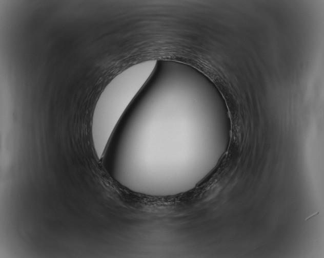 X0000086901010200704160942
