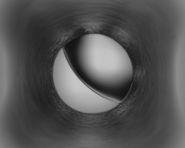 X0000086901012200704160942
