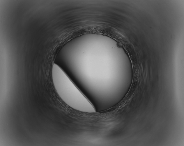 X0000086901013200704160942