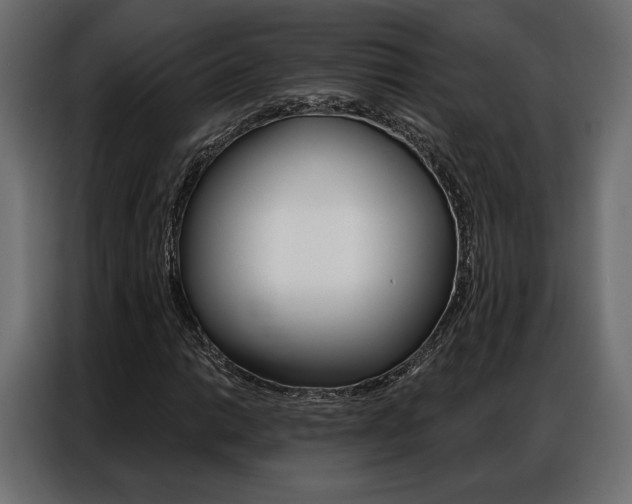 X0000086901014200704160942
