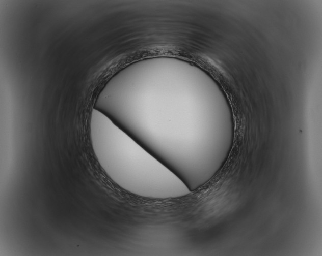 X0000086901015200704160942