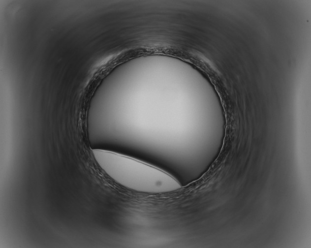 X0000086901016200704160942