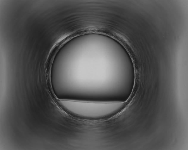 X0000086901018200704160942