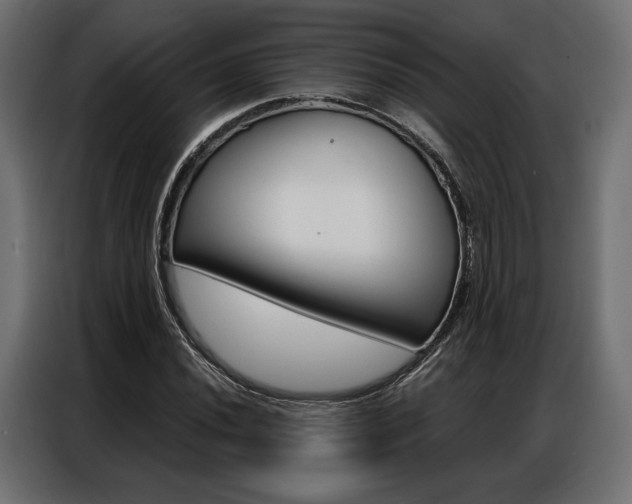 X0000086901020200704160942
