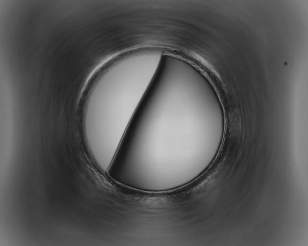 X0000086901021200704160942