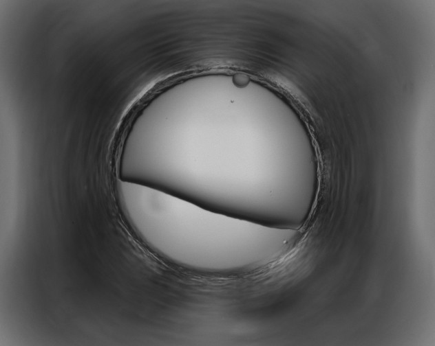 X0000086901023200704160942