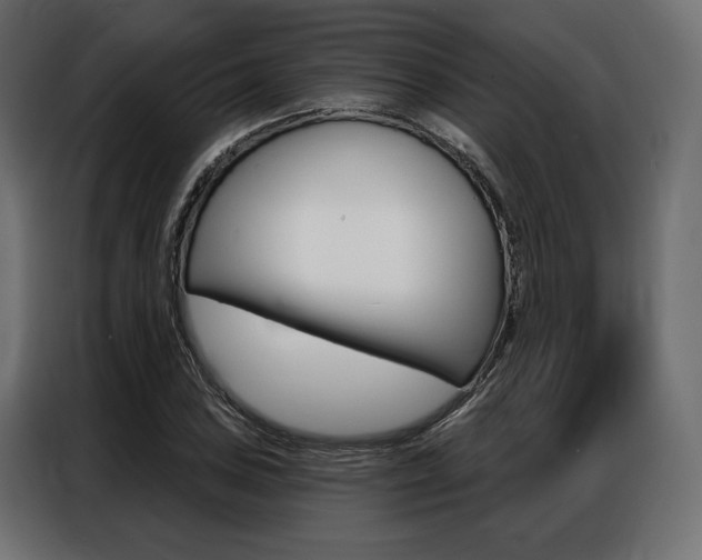 X0000086901027200704160942