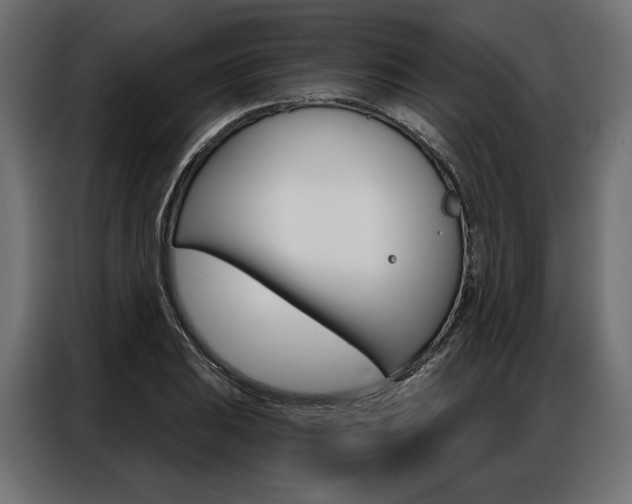 X0000086901031200704160942
