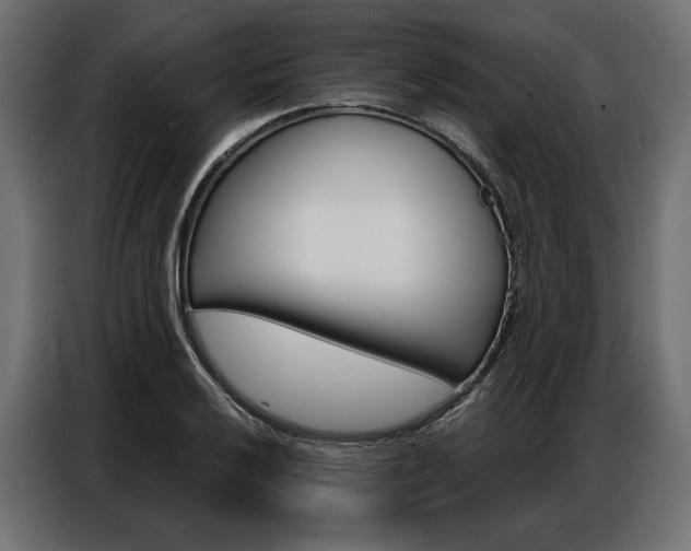 X0000086901032200704160942