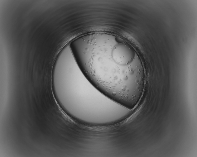 X0000086901033200704160942