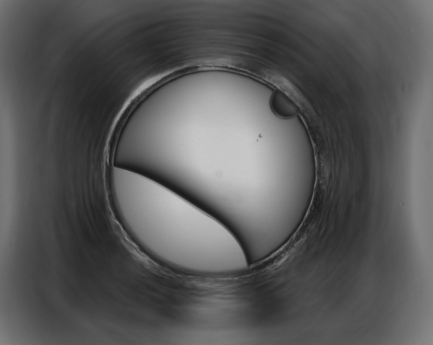 X0000086901036200704160942