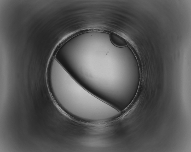X0000086901037200704160942