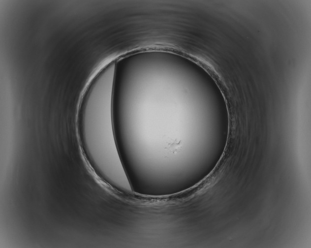 X0000086901038200704160942