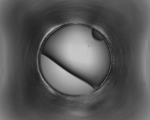 X0000086901040200704160942