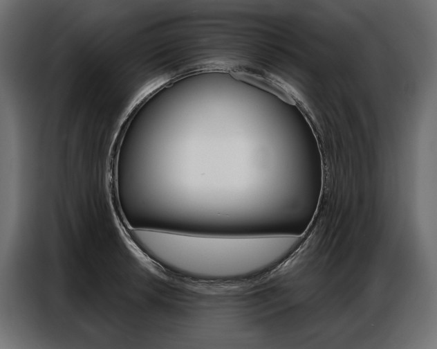 X0000086901042200704160942