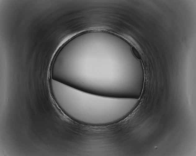 X0000086901044200704160942