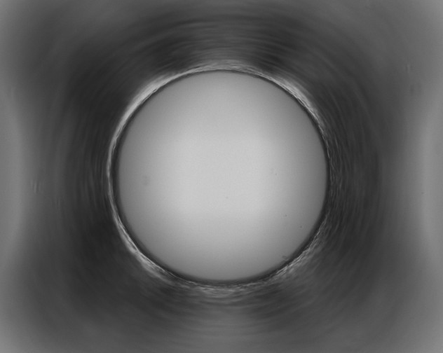 X0000086901046200704160942