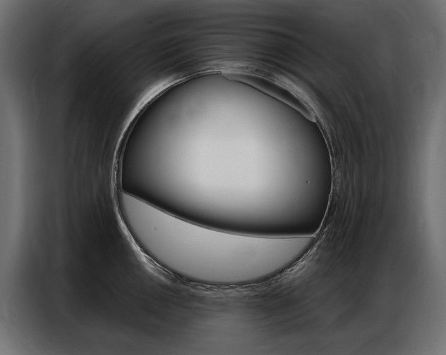 X0000086901050200704160942