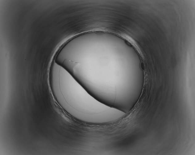 X0000086901051200704160942