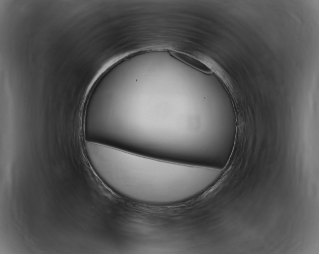 X0000086901052200704160942