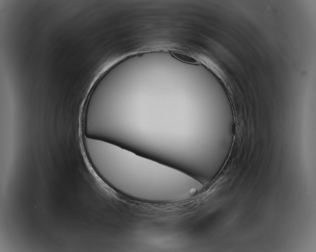 X0000086901055200704160942