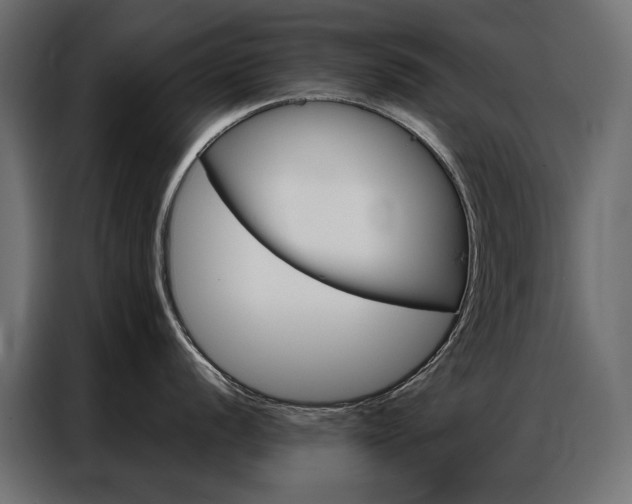 X0000086901056200704160942
