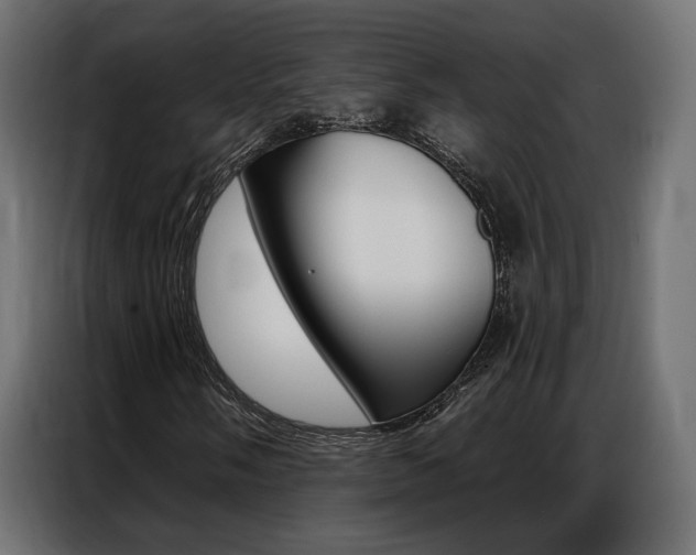 X0000086901058200704160942