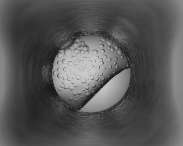 X0000086901059200704160942