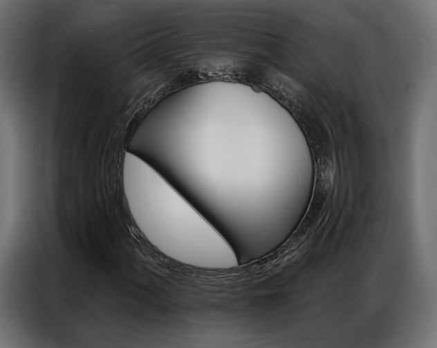 X0000086901060200704160942